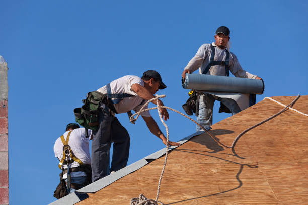 Best Roof Maintenance Services  in Baldwin, GA
