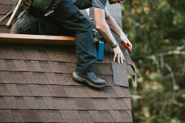 Best Sealant for Roof  in Baldwin, GA